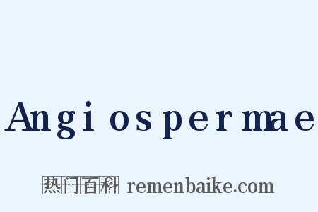 Angiospermae是什么意思的图片